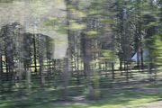 29 - Banff,Lake Louise,Morraine Lake  - IMG_0743